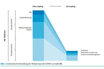 Faktencheck / Ansteckung oder ansteckend trotz Corona-Imfpung? Worauf Sie achten sollten