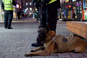 Nach Hundevorfall in Luxemburg / Abgeordnete sehen Handlungsbedarf – Minister Kox und Tanson beziehen Stellung