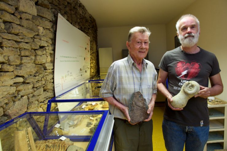 Bascharage / Donnerkeile und Dinosaurierkot: Das Geologiemuseum zeigt Millionen Jahre Erdgeschichte