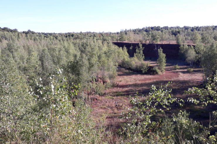 Sommerserie / Unsere Lieblingsorte (7): Das Naturschutzgebiet „Prënzebierg“ bietet Ruhe und Abwechslung zugleich