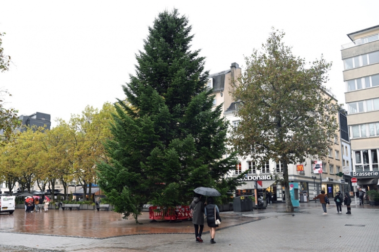 Luxemburg-Stadt / Es weihnachtet schon in der Hauptstadt: Die „Winterlights“ werden vorbereitet