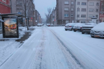 Verkehrschaos am Donnerstag / „Jemand hätte entscheiden müssen, dass der Busbetrieb im ganzen Land eingestellt wird“