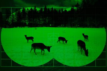 Luxemburg / Waidmannsheil: Bald geht es mit Nachtsichtgeräten und halbautomatischen Waffen auf die Jagd