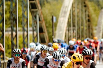 Radsport / Eine ganz besondere Ausgabe: Fragen und Antworten zur 111. Tour de France