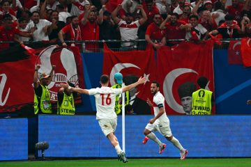 Fussball / Sieg über Tschechien: Türkeis EM-Party geht weiter