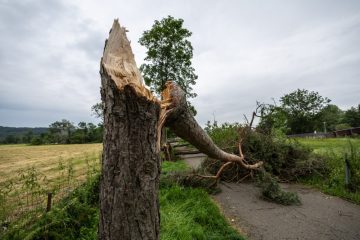 Unwetter in Luxemburg / Deutscher Wetterdienst zu Sturmschäden in Biwer: „Ein Tornado ist plausibel“
