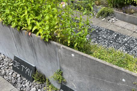 L’artiste Marianne Villière a activé son installation dans le cloître de l’abbaye de Neimënster, suite à sa résidence au printemps. Après avoir transcrit en mots des échanges imaginés entre plantes, insectes et éléments divers et variés, elle a réalisé sur des plaques d’ardoises, dessinées à la craie de Meudon, des insectes, pour rappeler l’extinction dont ils sont l’objet.