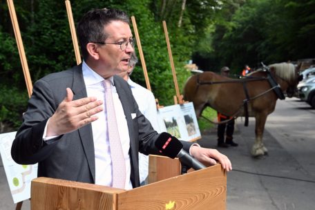 Der für Umwelt und Naturschutz zuständige Schöffe Maurice Bauer (CSV) kündigte am Mittwoch an, dass die Hauptstadt zusätzliche Wälder bekommt