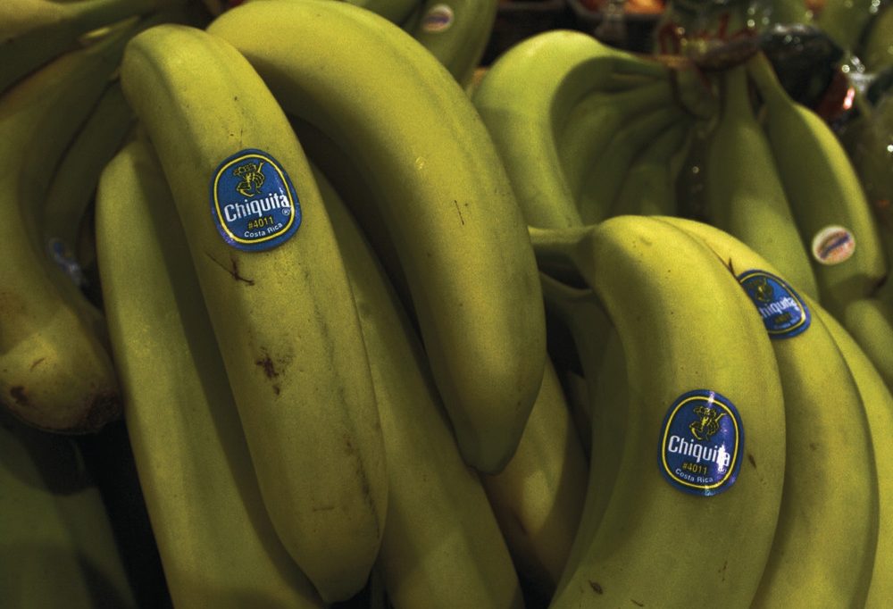 Unternehmen und Menschenrechte / Gerichtsurteil gegen Chiquita als ein möglicher Präzedenzfall