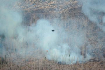 Bis in die Nacht weitegelöscht / Feuer am Brocken im Harz breitet sich nicht weiter aus