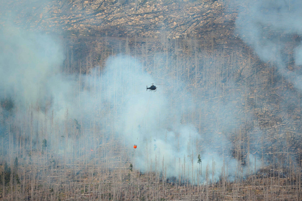 Bis in die Nacht weitegelöscht / Feuer am Brocken im Harz breitet sich nicht weiter aus