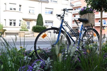 „Shared public space“ / Luxemburg setzt auf nachhaltige Mobilität: Start der 23. Europäischen Mobilitätswoche