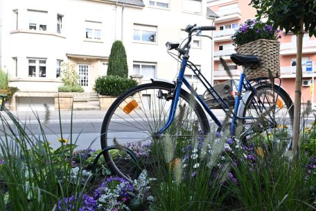 „Shared public space“ / Luxemburg setzt auf nachhaltige Mobilität: Start der 23. Europäischen Mobilitätswoche