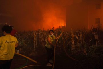 Portugal / Bereits sieben Tote bei Waldbränden