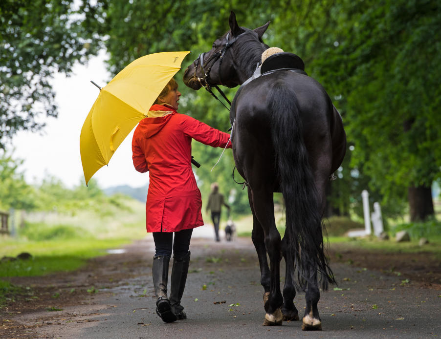 Wetter wechselhaft und regnerisch